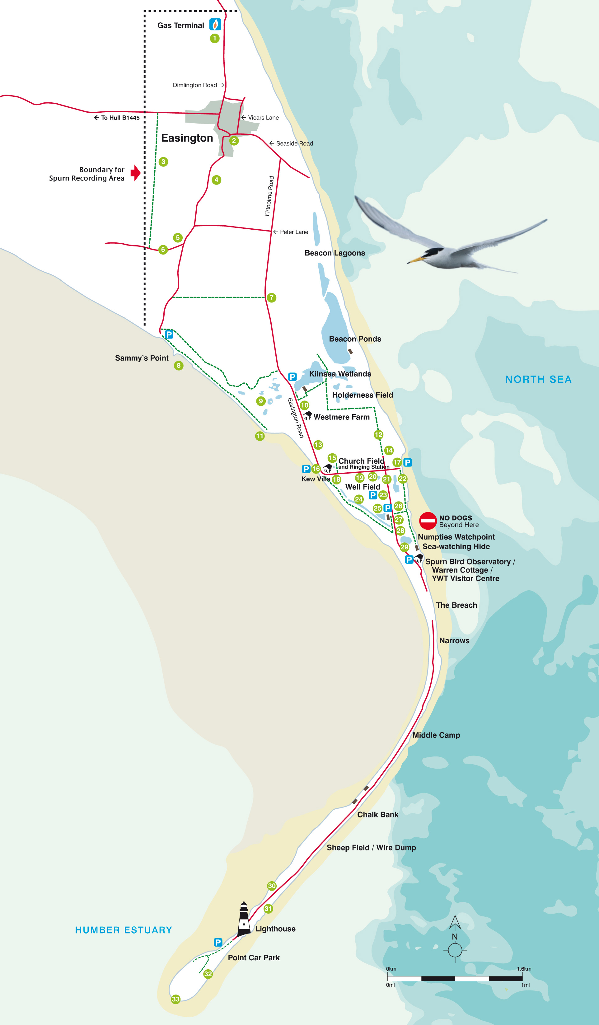 Spurn Map